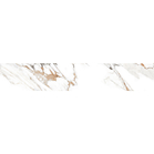 CONTRATREAPTA ASPIRE GOLD 20X120, CAL I, 3BUC/C, 0.72MP/C, 45.36MP/P, 189BUC/P IND